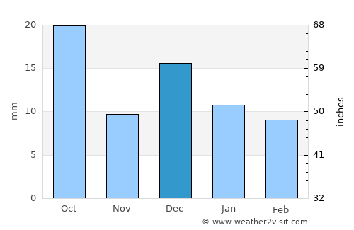 Puerto Palomas average rain in December