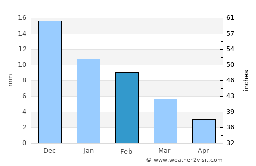 Puerto Palomas average rain in February