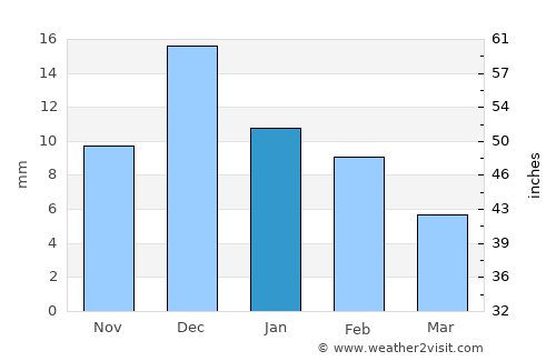 Puerto Palomas average rain in January