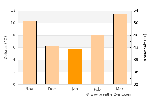 Puerto Palomas average temperature in January