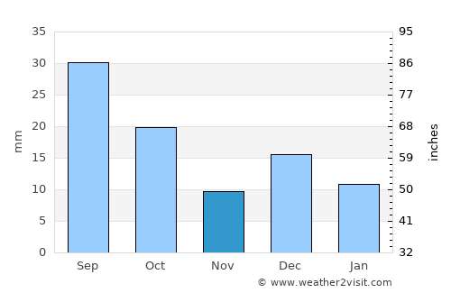 Puerto Palomas average rain in November