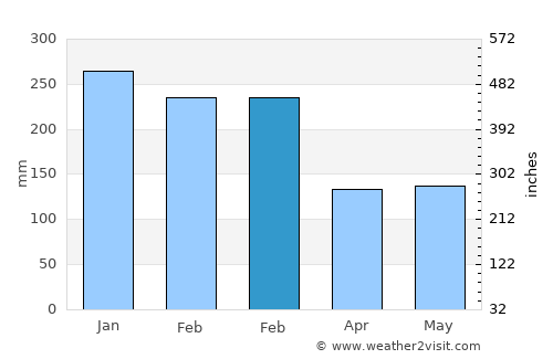 Puger average rain in February