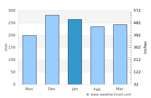 Puger average rain in January