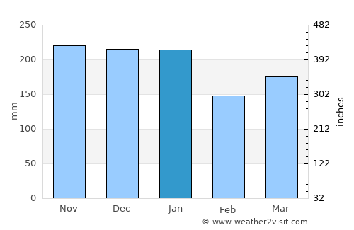 Puhi average rain in January