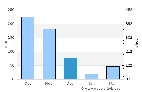Puliyangudi average rain in December