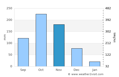 Puliyangudi average rain in November