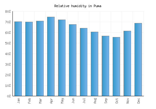 Puma relative humidity averages