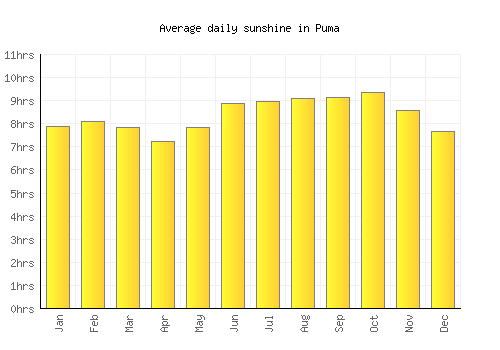 Puma average daily sunshine chart