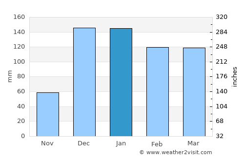 Puma average rain in January