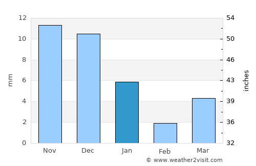 Punāsa average rain in January