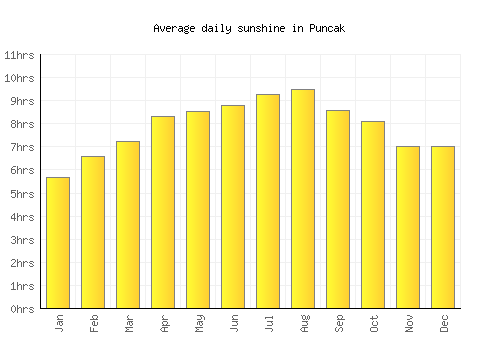 Puncak average daily sunshine chart