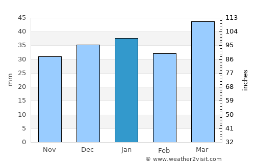 Punta Arenas average rain in January