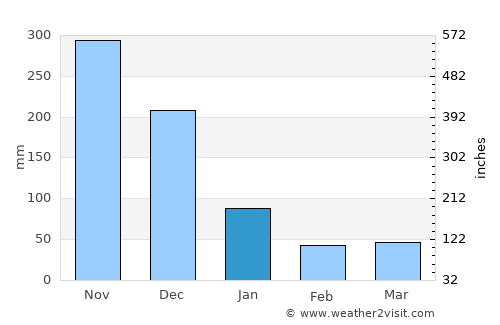 Punta average rain in January