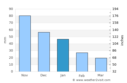Punuare average rain in January