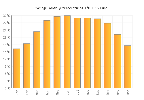 Pupri average temperature chart (Celsius)
