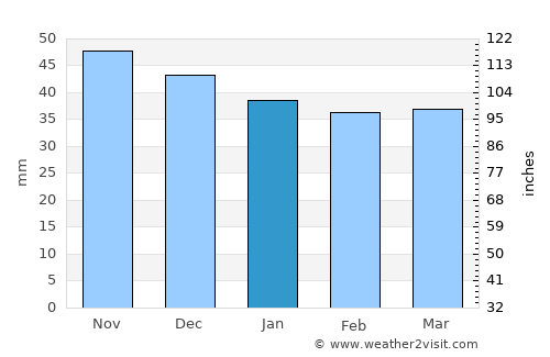 Purani average rain in January