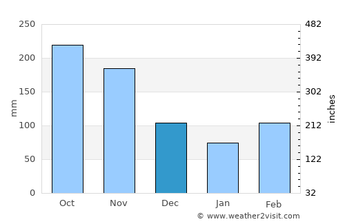 Purificación average rain in December