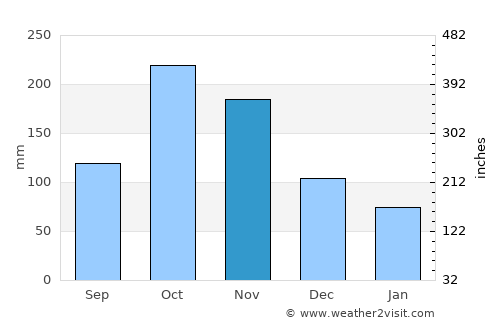 Purificación average rain in November