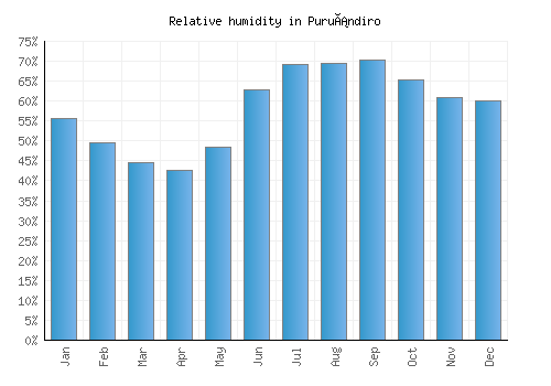 Puruándiro relative humidity averages