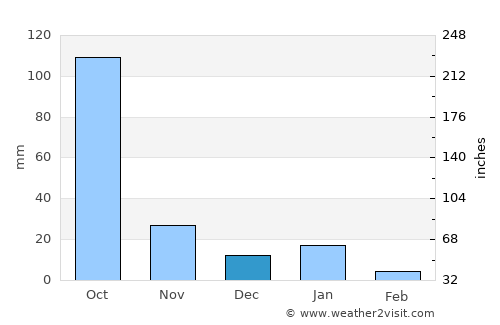Puruarán average rain in December