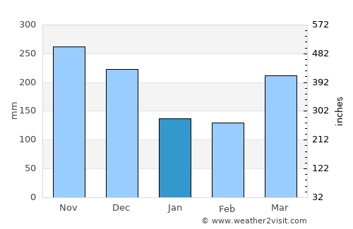 Putrajaya average rain in January