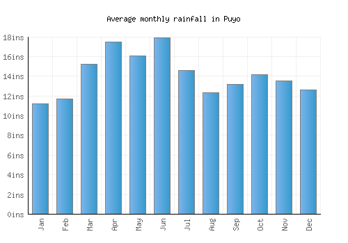 Puyo monthly rainfall chart (inches)