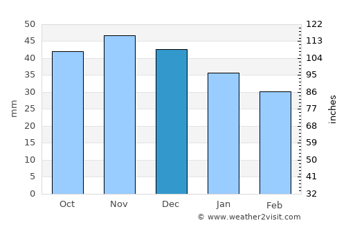 Pyetrykaw average rain in December