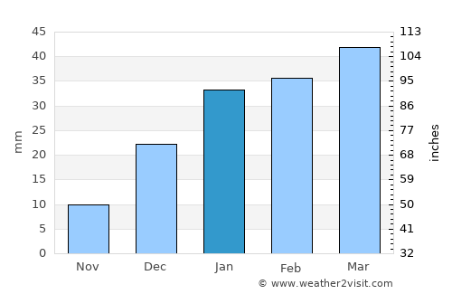 Qāyen average rain in January