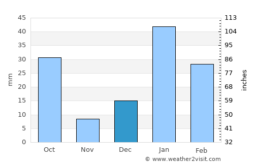 Radaur average rain in December