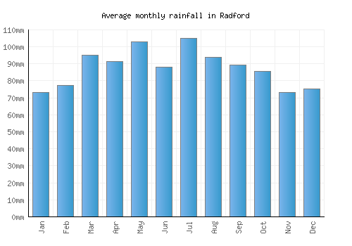 Radford monthly rainfall chart (mm)