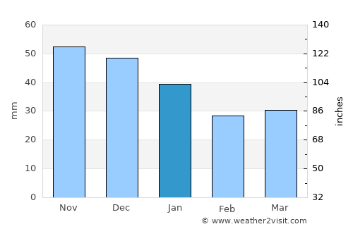 Raduzhnyy average rain in January