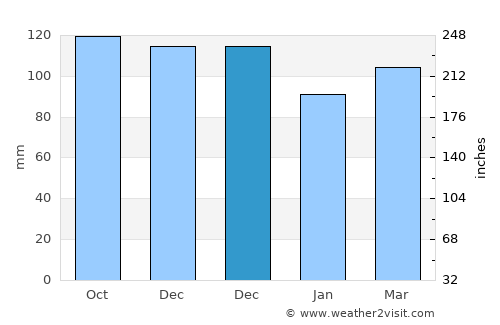 Raglan average rain in December