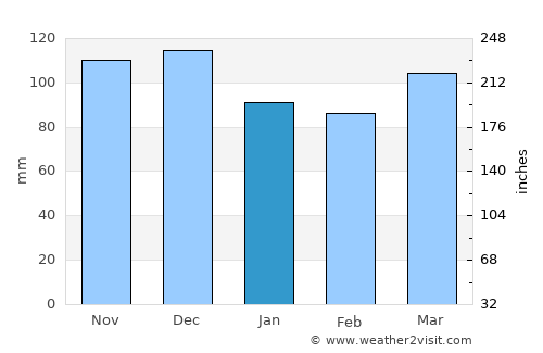 Raglan average rain in January
