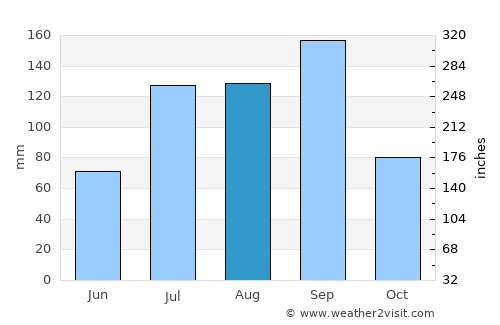 Rāichūr average rain in August