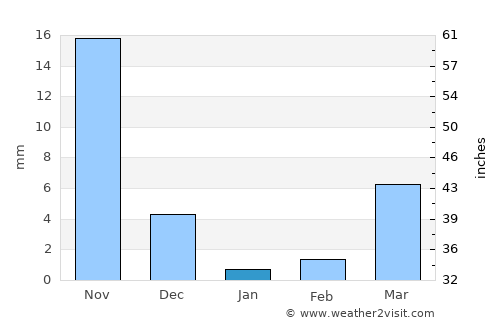 Rāichūr average rain in January