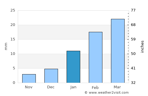 Raigarh average rain in January