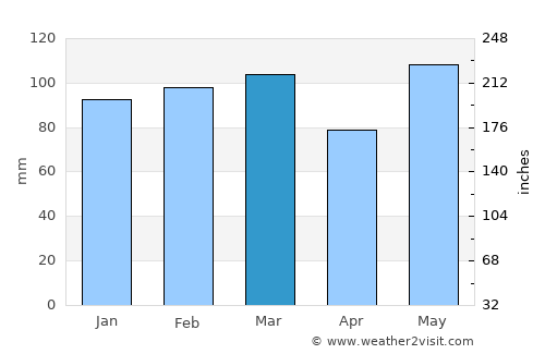 Raleigh average rain in March