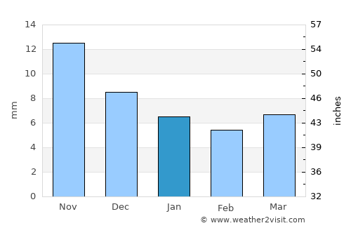 Ramagundam average rain in January