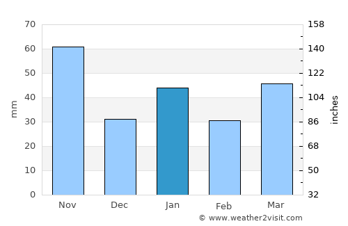 Rancho Veloz average rain in January