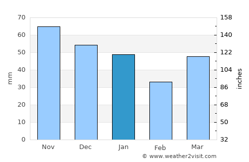 Rapid City average rain in January