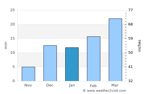 Ratanpur average rain in January