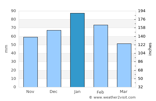 Ratholo average rain in January