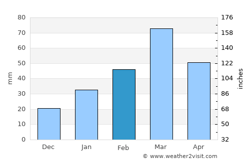 Rāwala Kot average rain in February