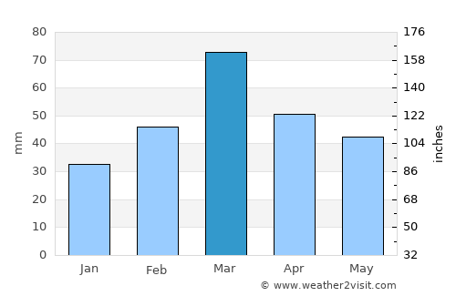 Rāwala Kot average rain in March