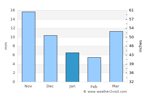 Raychikhinsk average rain in January