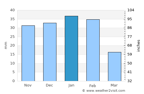 Raymondville average rain in January