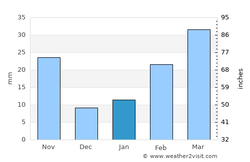 Raypur average rain in January