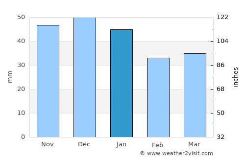 Rebra average rain in January