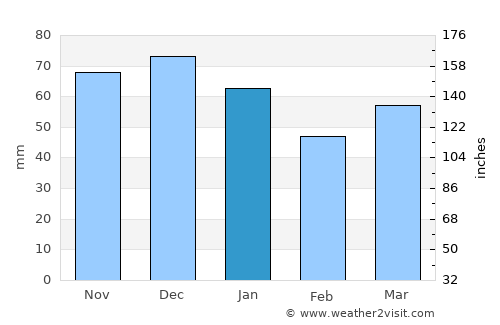 Rees average rain in January