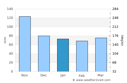 Reggello average rain in January